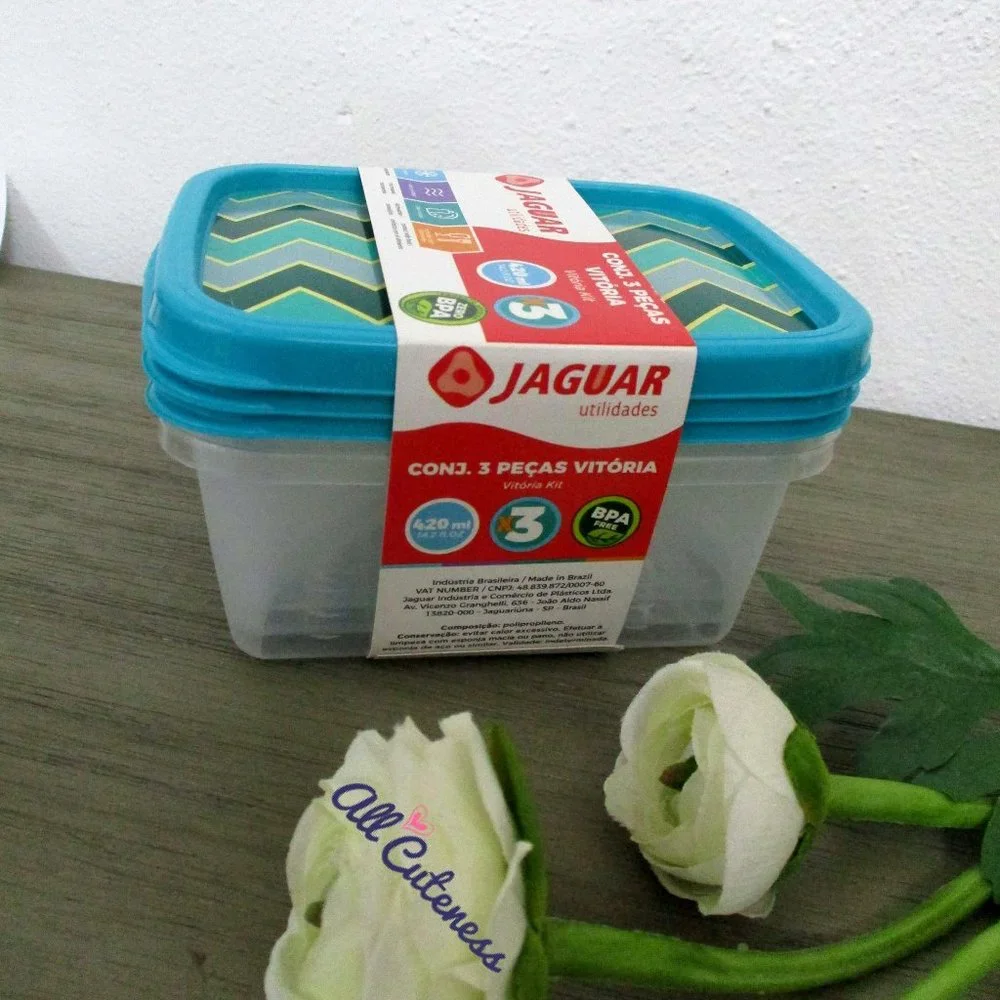🎀 Small Plastic Container Set